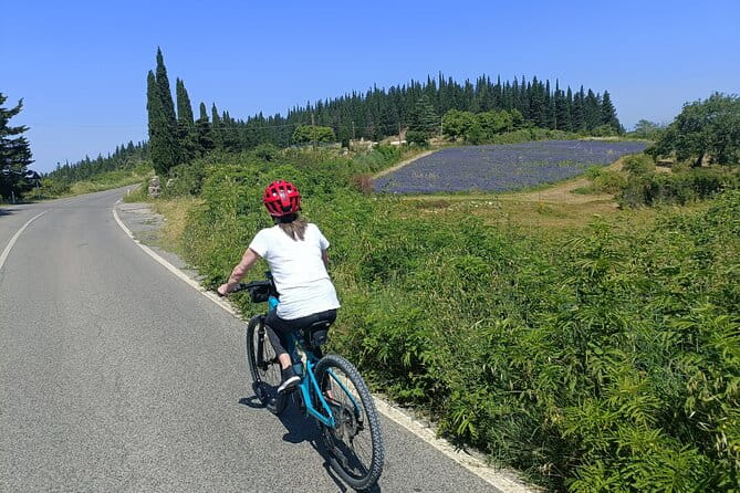 Chianti e-bike tour from Florence with wine tasting - The Winery Experience—A Taste of Tuscany