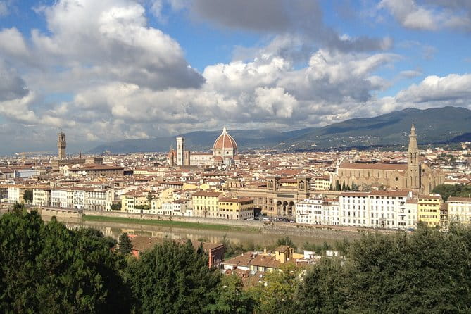 Chianti e-bike tour from Florence with wine tasting - Logistics, Pricing, and Who Should Book