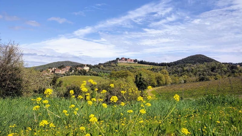 Chianti: E-Bike Tour with Castle Visit and Wine Tasting - Frequently Asked Questions