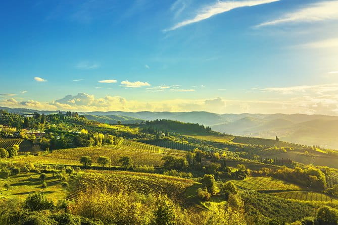 Chianti Experience Shore Excursion from Livorno Port - The Sum Up