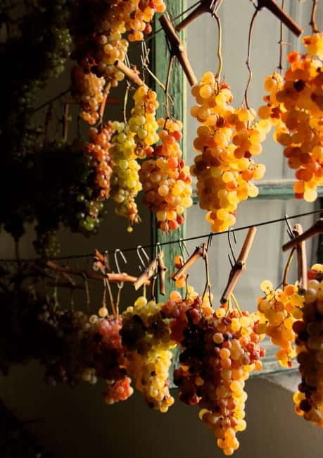 Chianti: Fattoria La Leccia - Guided Visit and Tasting - The Tasting: Four Wines That Speak of Terroir and Technique