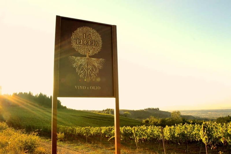 Chianti: Fattoria La Leccia - Guided Visit and Tasting - Final Thoughts