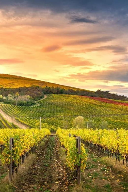 Chianti Helicopter Flight Tour - Key points / Takeaways