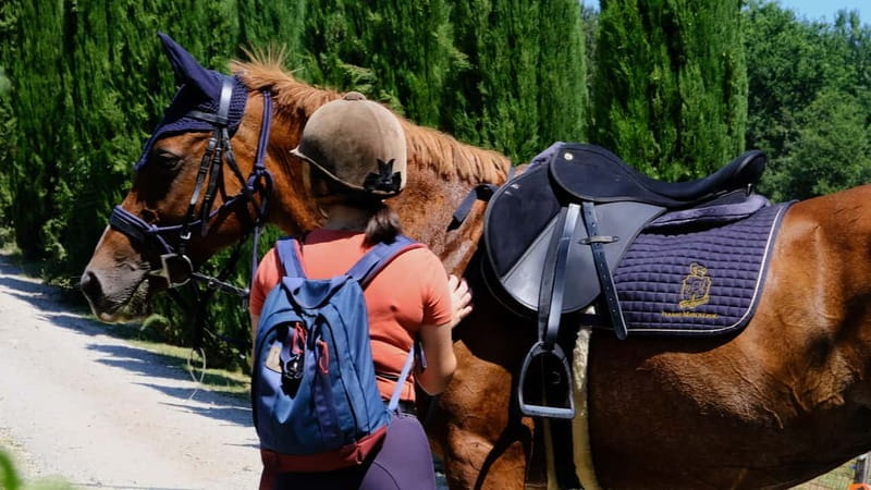 Chianti: Horseback Riding Through Vineyards and Woods - Who This Experience Is Perfect For