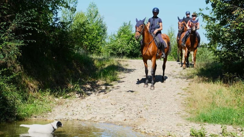 Chianti: Horseback Riding Through Vineyards and Woods - FAQ
