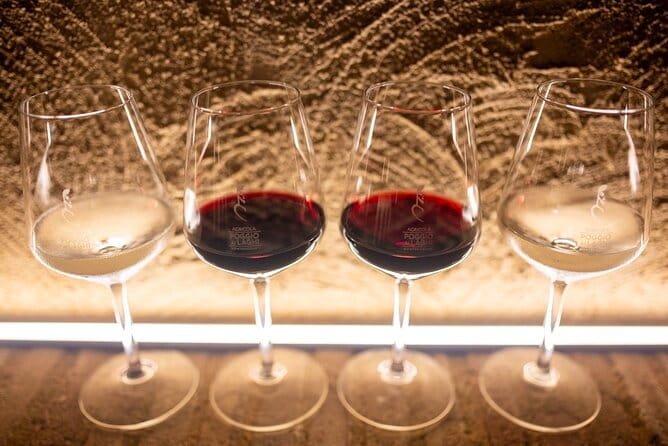 Chianti: Lunch with Wine Tasting at Poggio ai Laghi Winery - Exploring the Experience: What’s Truly Special**