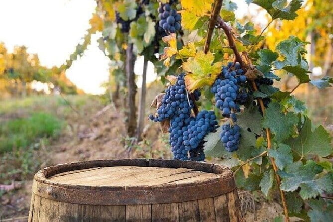 Chianti, San Gimignano and Siena Full Day Trip with Wine Tastings - FAQ