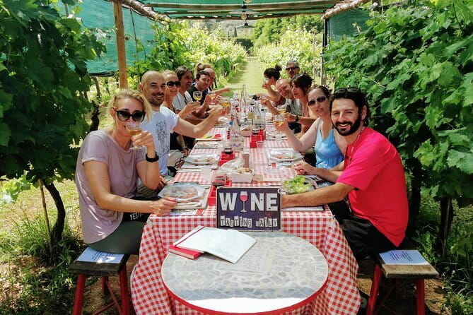 Chianti & Supertuscan Private Tour 2 Wineries with light lunch - Transportation: Comfortable and Convenient
