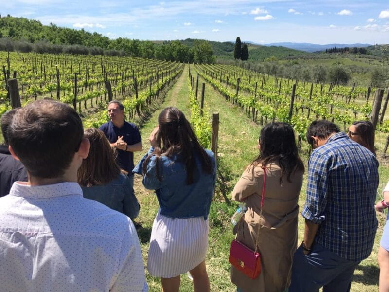 Chianti: Vineyard to Bottle Winery Visit with Tastings - FAQ