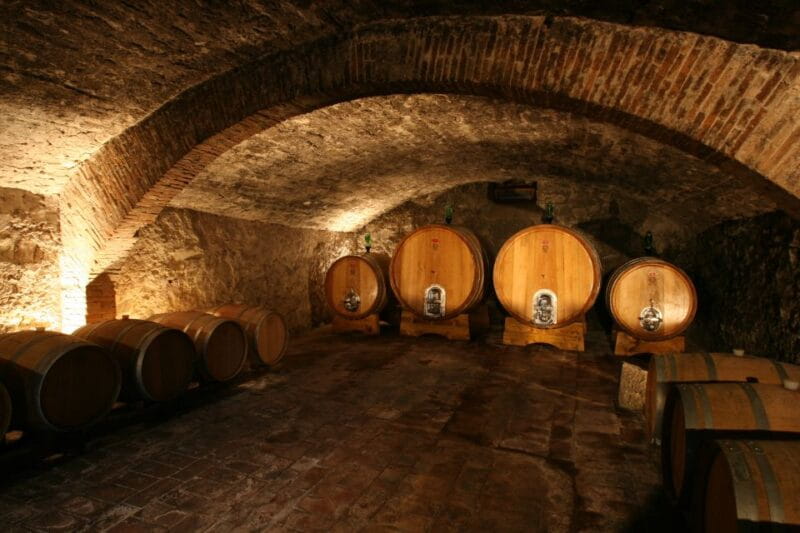 Chianti: Wine and Olive Oil Tasting with Cellar Tour - Discover the Charm of a Chianti Farm with a Tasting Tour