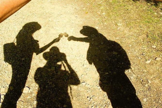 Chianti Wine and Vinci Half Day Small Group Tour From Montecatini Terme - Vinci and Leonardo Da Vinci