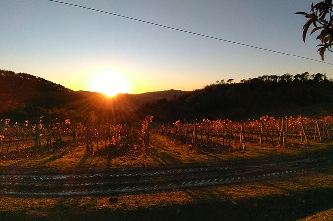 Chianti Wine Tastings at Sunset Day Trip From Florence - Highlights