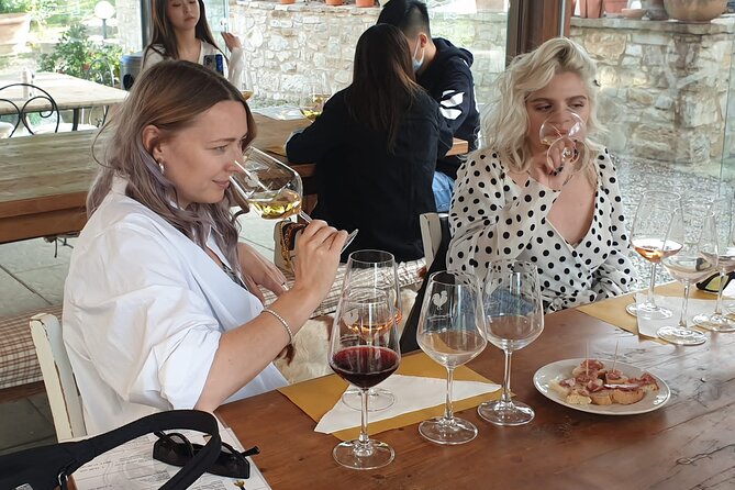 Chianti Wine Tastings at Sunset Day Trip From Florence - Vineyard Visit