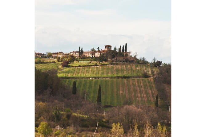 Chianti Wine Tour from Florence to San Gimignano with 2 Wineries - What Could Be Better