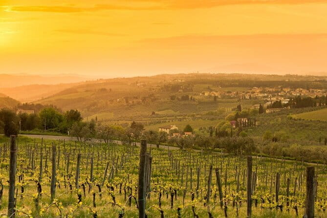 Chianti Wine Tour from Florence to San Gimignano with 2 Wineries - FAQs