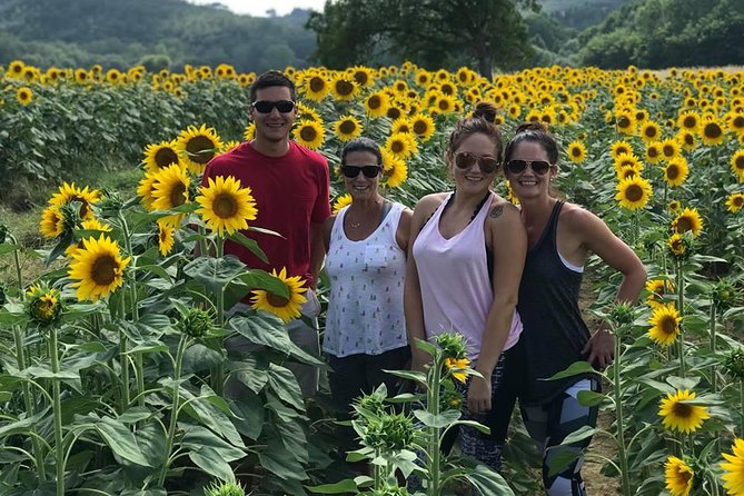 Chianti Wineries Tour With Tuscan Lunch and San Gimignano - Additional Information