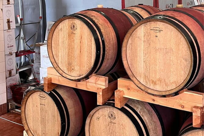 Chianti Winery + Brolio Castle Private Tour - Key points / Takeaways