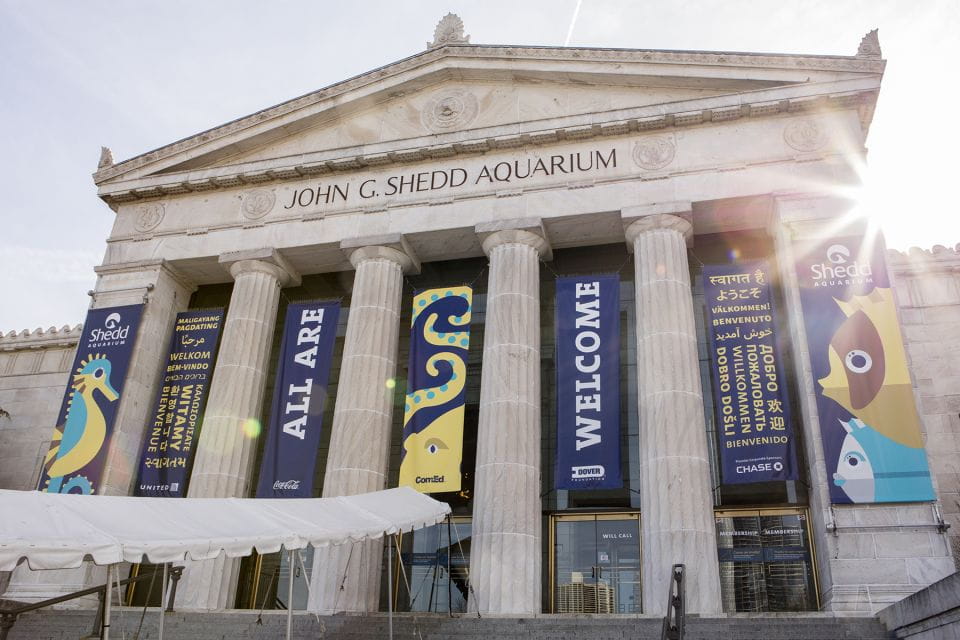 Chicago: All-Inclusive Pass With 30+ Attractions - Reservation Requirements