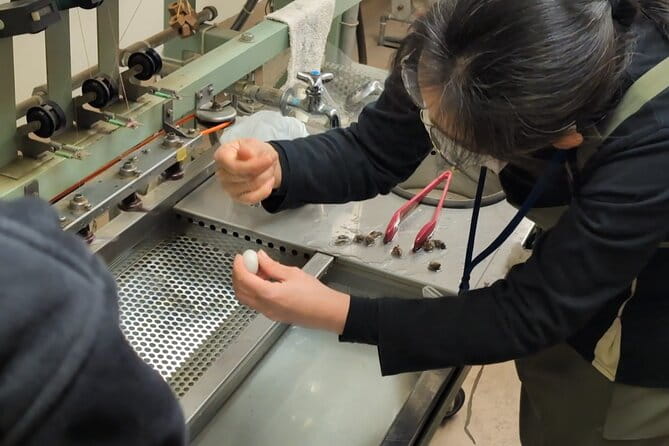 Chichibus Weaving Story: A Journey of Tradition and Festival - Taking in the Chichibu Meisen Museum Experience