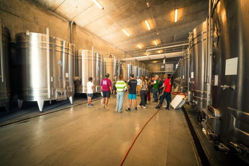 Chinon : Discovery Tours and Wine Tasting - Exploring Chinon: A Guide to the Discovery Tour and Wine Tasting