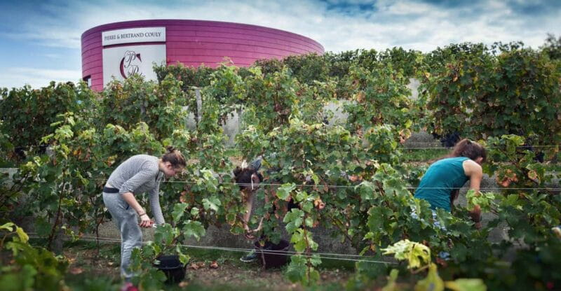 Chinon : Prestige Tours and Wine Tasting - A Close-Up Look at Chinon: Prestige Tours and Wine Tasting