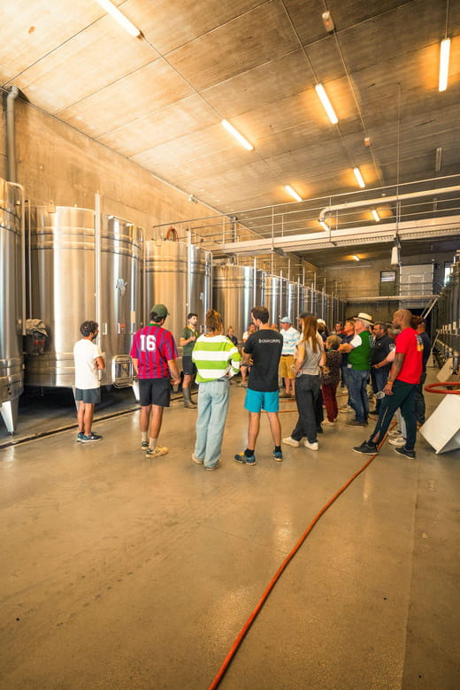 Chinon : Prestige Tours and Wine Tasting - Who Would Love This Tour?