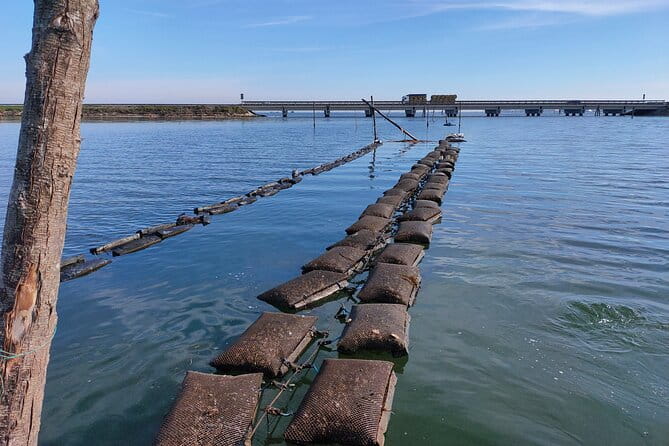 Chioggia : Aquaculture Secrets Tours of the Lagoon - Key Points / Takeaways