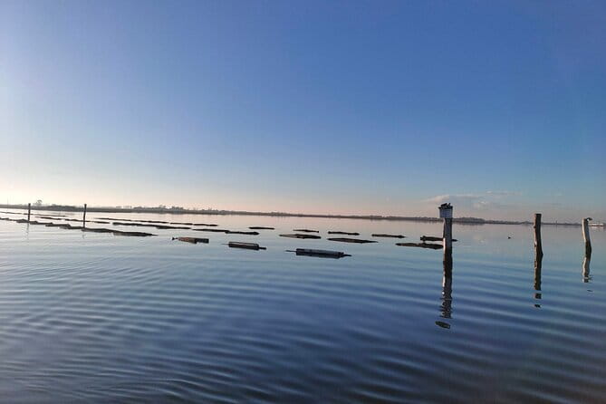 Chioggia : Aquaculture Secrets Tours of the Lagoon - Who Will Love This Tour?