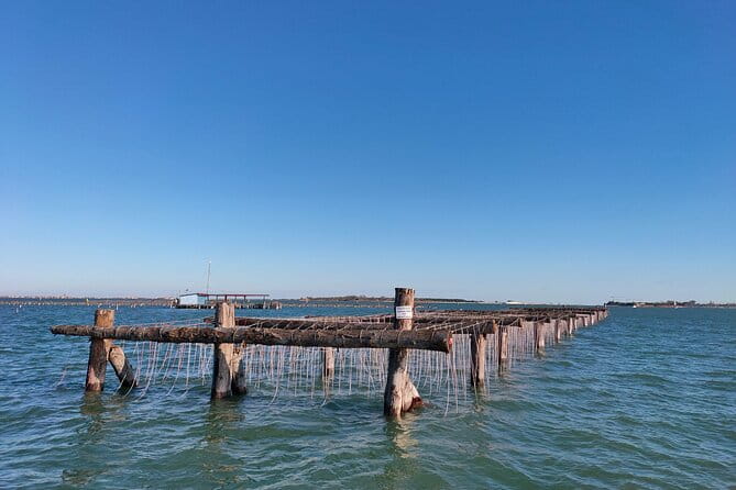 Chioggia : Aquaculture Secrets Tours of the Lagoon - Final Thoughts: Why It’s Worth It