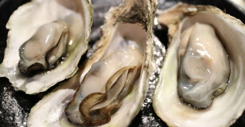 Chioggia: discover aquaculture techniques in a typical boat - Exploring Chioggias Lagoon: A Practical Guide