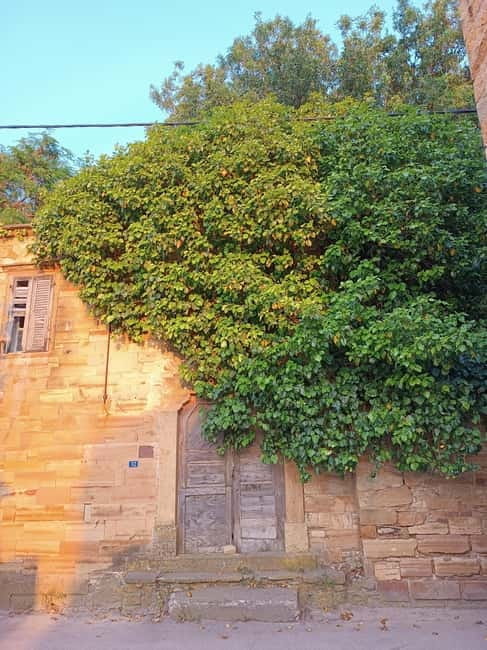 Chios: Kampos Private Walking Tour - In-Depth Look at the Highlights