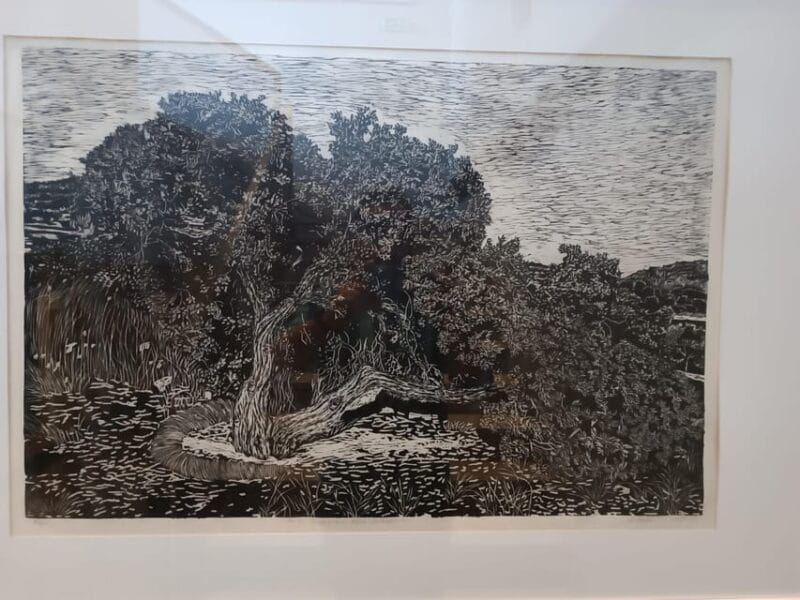 Chios: Mastiha shore excursion - Why This Tour Is Worth the Price