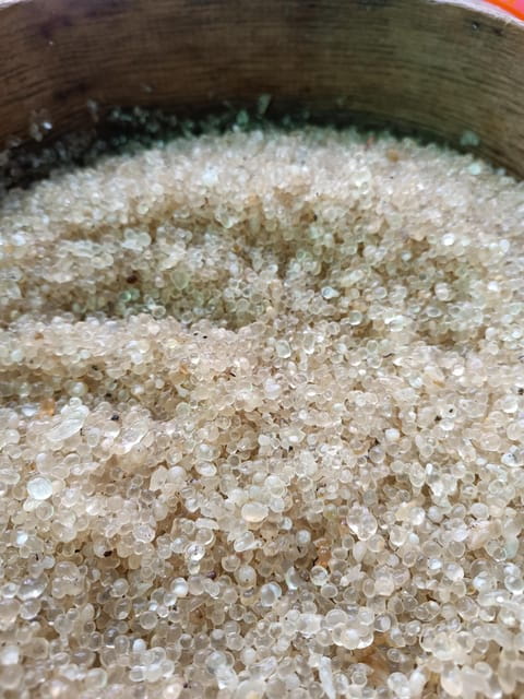 Chios: Mastiha shore excursion - Who Will Enjoy This Tour Most?