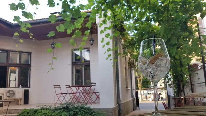 Chisinau: Cocktail Bar & Pub Crawl and Wine Bars - Who Is This Tour Best Suited For?