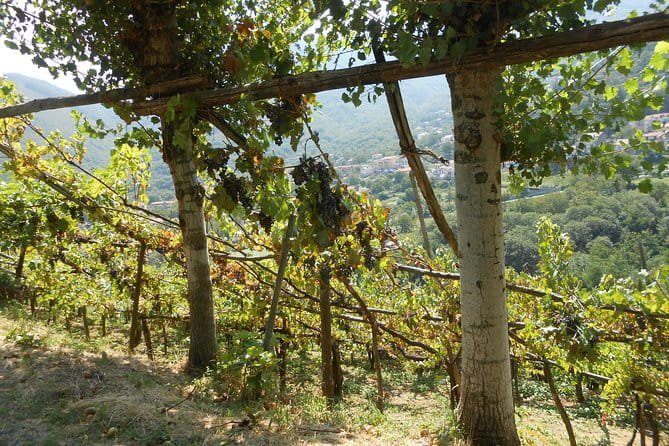 Chiunzi Pass loop by bicycle - FAQ