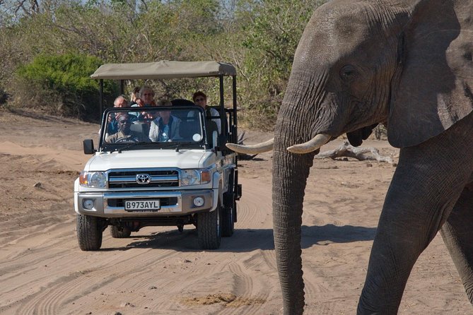 Chobe National Park Game Drive, Botswana - Inclusions and Amenities