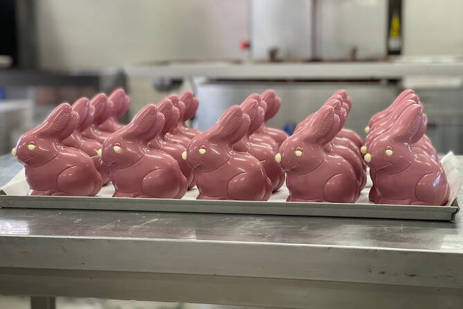 Chocolate Made in Piedmont: Guided Tour with Tastings - Who Is This Tour Best For?