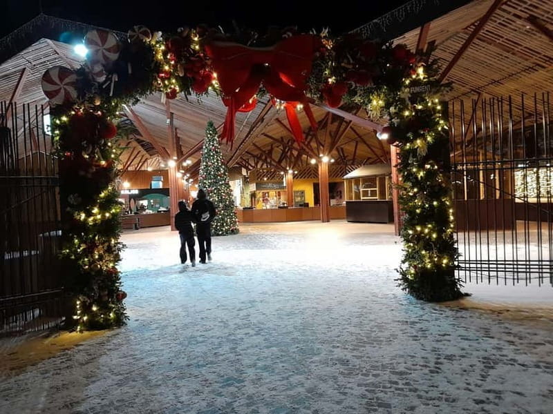 Christmas walking tour Tallinn Christmas market - The Christmas charm of Tallinn in a guided walk