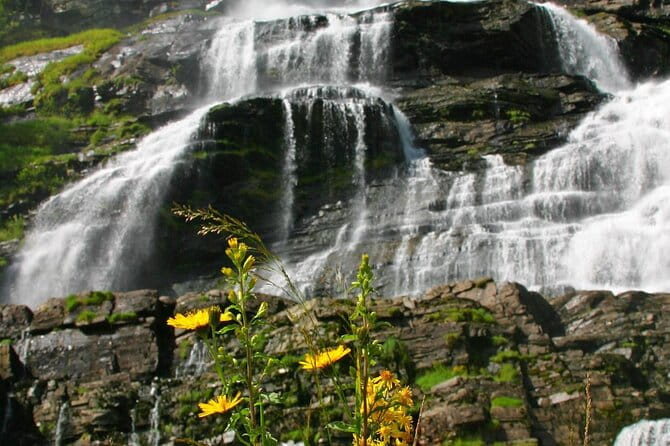 Cidery Day Tour with a Fjord Cruise from Bergen - Exploring Bergen’s Fjords and Culture in One Day