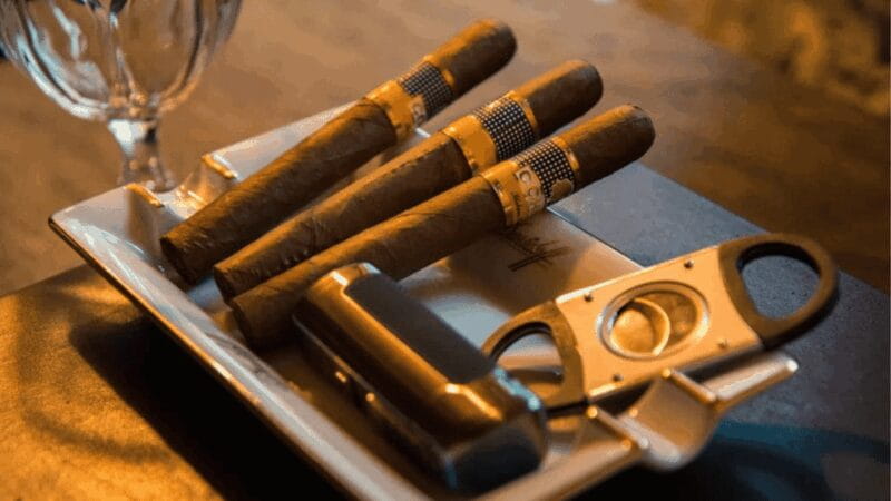 Cigar Tasting Masterclass - Final Thoughts