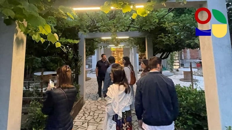 Cilento Wine: Tour & Tasting Experience - Entering the World of Cilento Wines