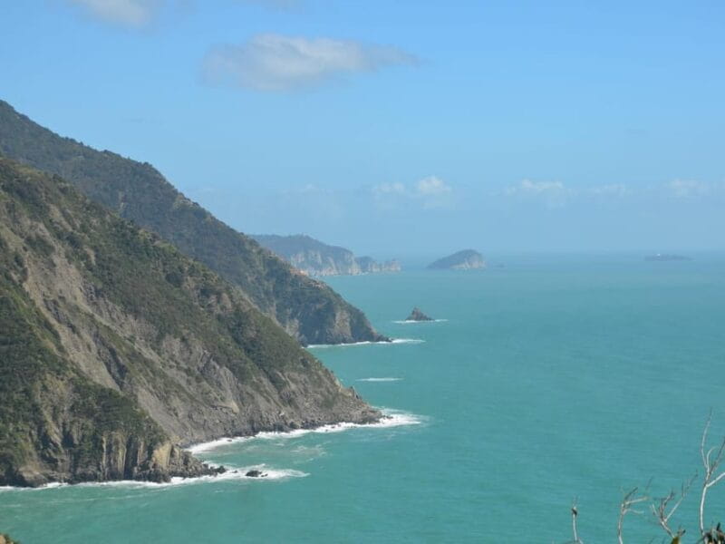 Cinque Terre: Eco Hiking and Wine Tasting - The Lush Forests and Coastal Views