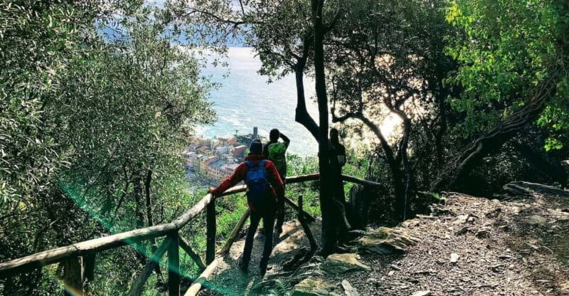 Cinque Terre: Eco Hiking and Wine Tasting - Is This Tour Worth the Price? Analyzing the Value