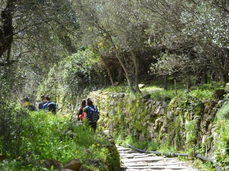 Cinque Terre: Eco Hiking and Wine Tasting - FAQ – Your Practical Questions Answered