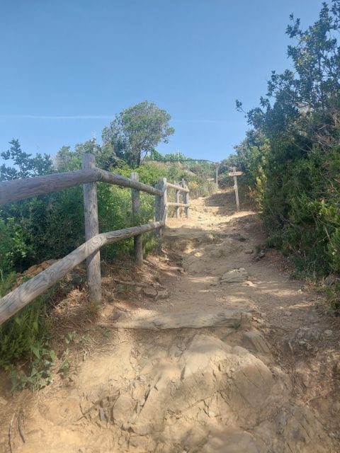 Cinque Terre from Riomaggiore to Manarola and vineyards - Discovering the Cinque Terre from Above and Through Its Vineyards