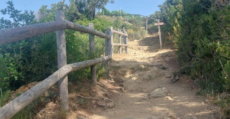 Cinque Terre from Riomaggiore to Manarola and vineyards - Why It’s a Good Choice for the Curious Traveler