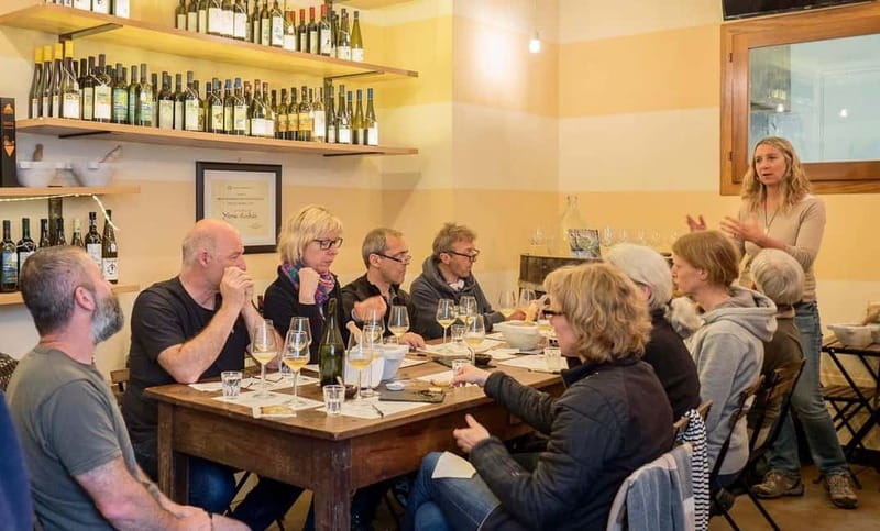 Cinque Terre-Manarola: Wine Experience and Tour in Vineyard - Key Points and Takeaways