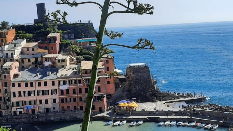 Cinque Terre Semi-Private Day Tour from Montecatini Terme - Final Thoughts