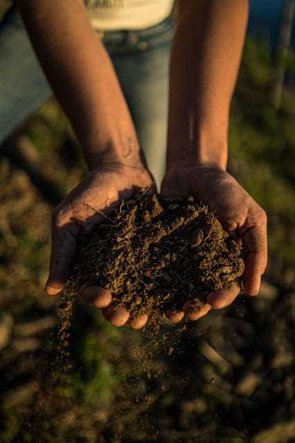 Cinque Terre: tasting in the cellar with visit to vineyards - Key Points / Takeaways