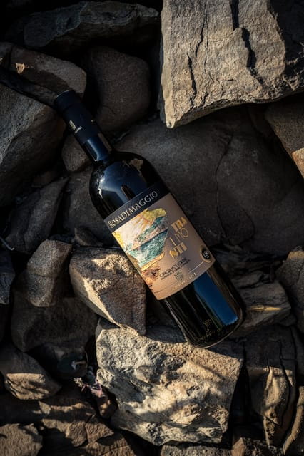 Cinque Terre: tasting in the cellar with visit to vineyards - Exploring the Experience: A Closer Look